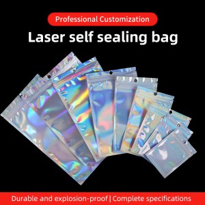 Holographic Bag